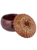 Butlers Butlers Dose ACORN in Braun