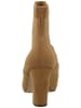 Steve Madden Stiefelette in Camel