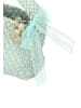 myMo Women Handbag in Light Green