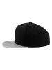  Flexfit Snapback - Classics in silver