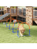 Pawhut Hunde Agility Set Blau+Orange PE+ ABS