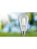 paulmann LED Eco-Line ST64 E27 840lm 4W 3000K klar 230V A