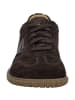 Josef Seibel Sneaker Wallace 07 in braun