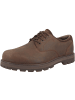 Timberland Schnürschuh Britton Road Mid Lace Up Waterproof in dunkelbraun