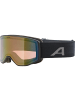 Alpina Skibrille VENET Q in Stein831