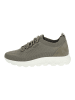 Geox Sneaker in Sage