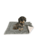 FLUFFINO Hundedecke S grau  grau