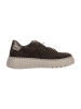 Gabor Sneaker braun