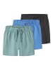 TWO SOON Shorts in Regatta