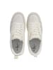 Calvin Klein Basket Cupsole Low Ivory Bright White in white