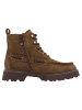 Tamaris Stiefelette in CAMEL
