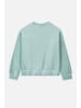 Coccodrillo Sweatshirt in grün