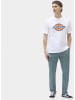 Dickies T-Shirt "Icon Logo Tee" in Weiß