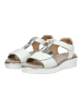 ara Sandalen in Weiß