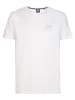 Petrol Industries T-Shirt mit Rückenprint Volcán in Weiß