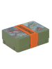 Dinosaur Brotbox Lunchbox Vielseitige Pausenbox