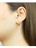 Vanlere Creolen aus 375 Gelbgold