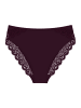 Triumph Tai Slip Amourette in Claret