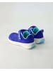 Geox Barfußschuhe in Blau