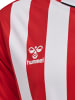 Hummel T-Shirt Hmlcore Herren in TRUE RED/WHITE