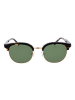 Replay Unisex Sonnenbrille Browline Braun