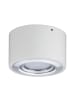 paulmann LED Deckenleuchte Argun