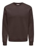 ONLY & SONS Sweatshirt in Coffee Bean