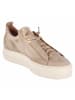 Paul Green Schnürhalbschuh in beige