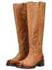 Steve Madden Stiefel in Tan