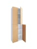 ebuy24 Büroschrank Lona2XLDT weiß Weiß 70 x 39 cm