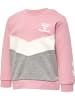 Hummel Sweatshirt Hmlskye Mädchen in ZEPHYR