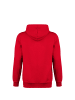 Puma Kapuzenpullover teamGOAL 23 Casuals in rot