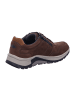 Pius Gabor Sneaker in braun