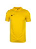 Nike Performance Poloshirt Academy 18 in gelb / schwarz