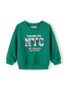 Minoti 2-er Pack Sweatshirt 29FLEECE200 in grün