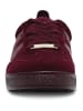 Steve Madden Sneaker in Burgundy