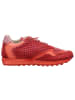 Cetti Sneaker Low in rot