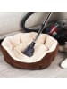 Beldray Staubsauger ohne Beutel 2-in-1 700 W, 2 l in Anthrazitfarben, 25 x 29,5 x 36 cm