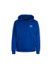 Under Armour Hoodie UA ESSENTIAL FLEECE HOODIE in Blau