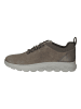 Geox Sneaker in Sand