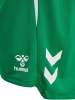 Hummel Short "Lead 2.0 Shorts" in Multicolor