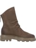 Paul Green Stiefeletten in taupe