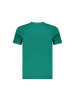 cavalli CLASS Grünes Baumwoll-T-Shirt