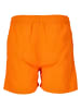 Cruz Shorts Eyemouth in 5081 Oriole