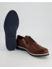 Sioux Business Schuhe in Braun