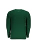 U.S. Polo Grün Acryl Herren Pullover