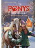 Oetinger Buch - Die Ponys von Lillasund 3. Winterzauber im Stall