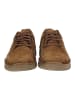 Josef Seibel Sneaker in Camel