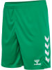 Hummel Sportshorts "Core 2.0 Shorts" in Grün