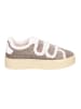 Tamaris Schnürschuh in taupe